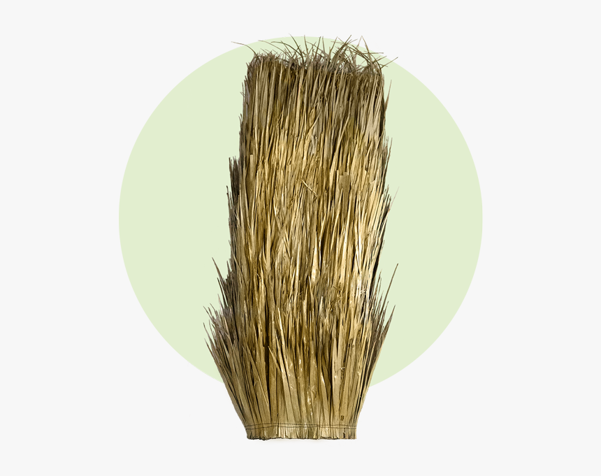 Grass, HD Png Download