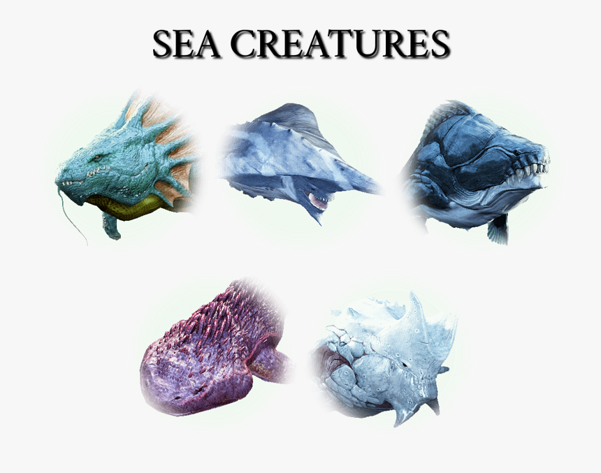 Black Desert Monstros Marinhos, HD Png Download