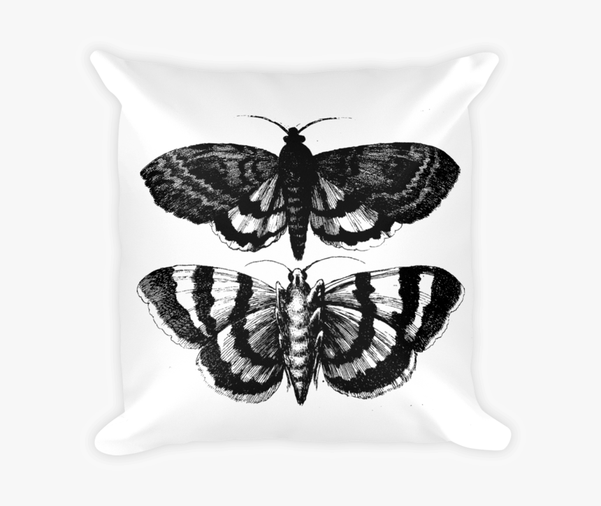 <butterflies And Various Insects>, HD Png Download
