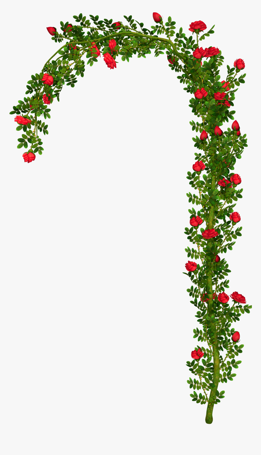 Flower Arch Clipart Png, Transparent Png