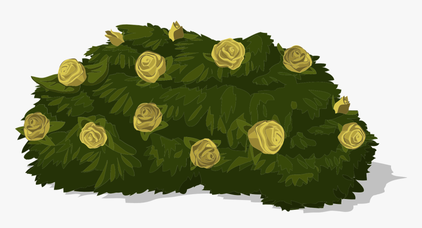 พุ้ ม ไม้ Png, Transparent Png