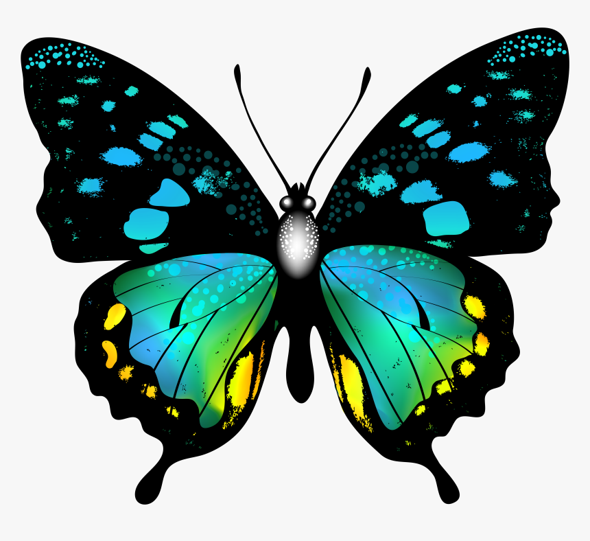 Blue Colorful Butterfly Png - Colorful Butterfly Clipart, Transparent Png