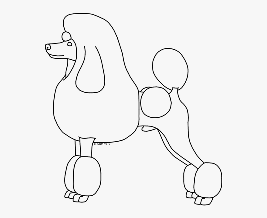 Poodle Drawing For Free Download - Standard Poodle, HD Png Download