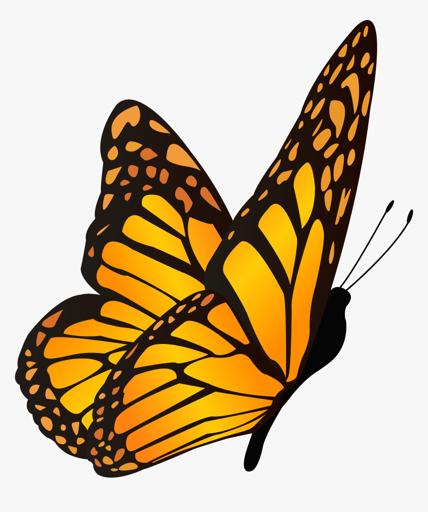 Butterfly Orange Yellow Clipart, HD Png Download