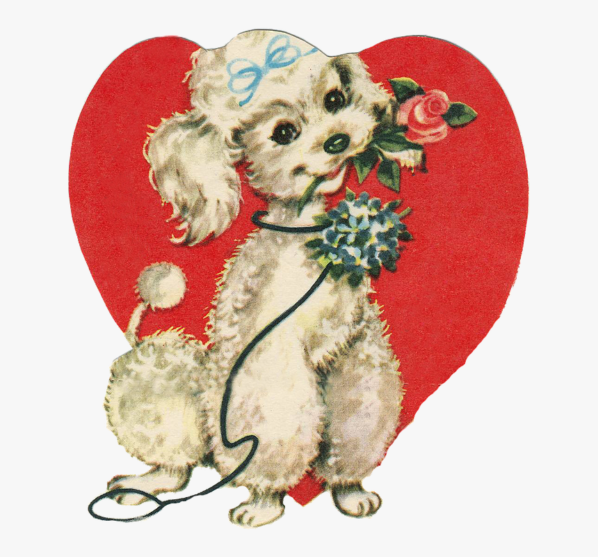 Love, Heart, Amorous, Dog, Puppy, Poodle, Rosa - Last Day Of February, HD Png Download