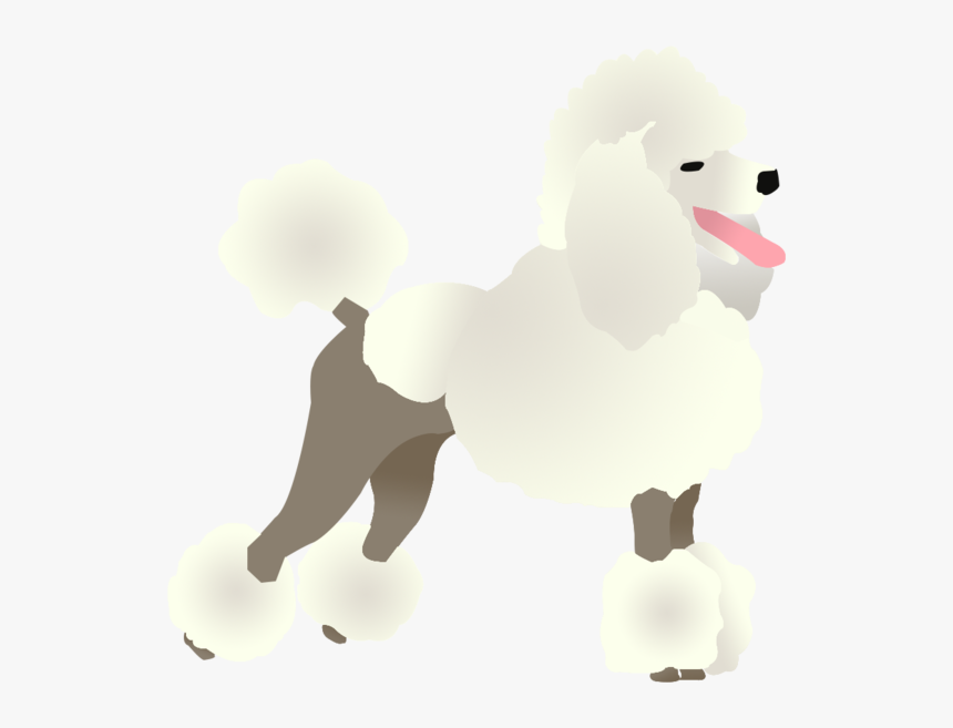 Standard Poodle , Png Download - Standard Poodle, Transparent Png