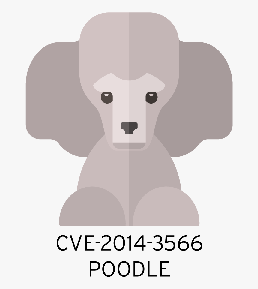 Mug Shot Of A Cute Poodle Labeled ‘cve 2014 3566 Poodle’ - Miniature Poodle, HD Png Download