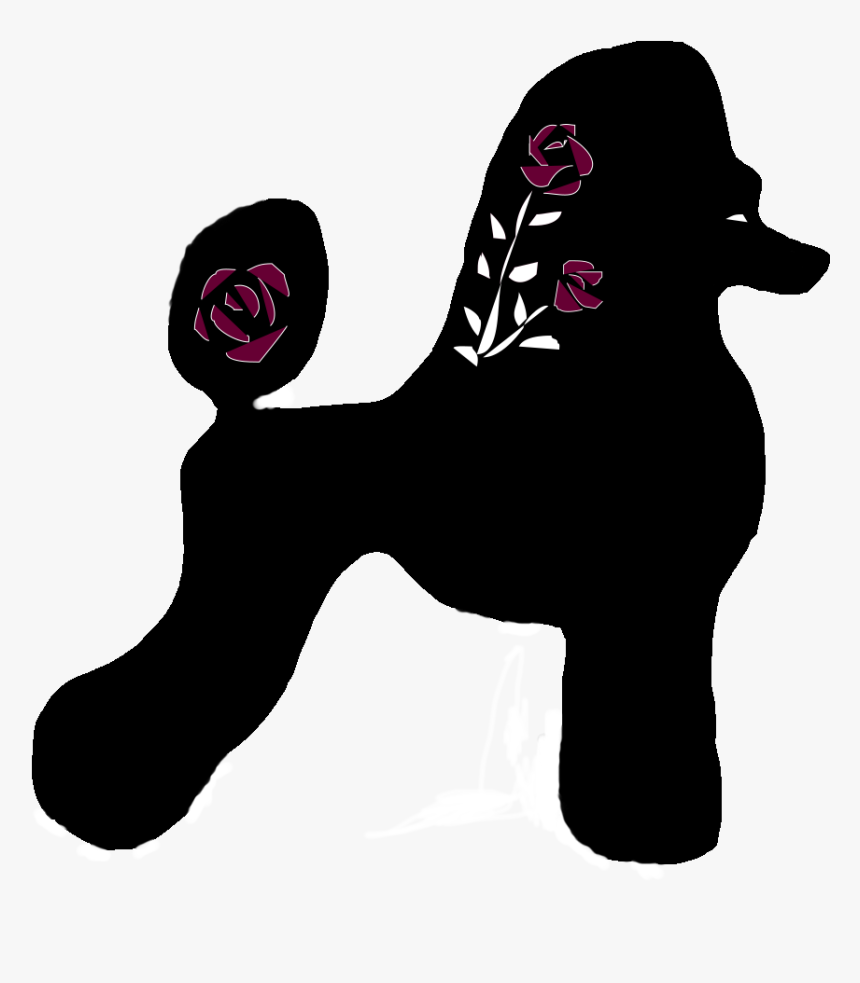 Rose City Standard Poodles - Standard Poodle, HD Png Download