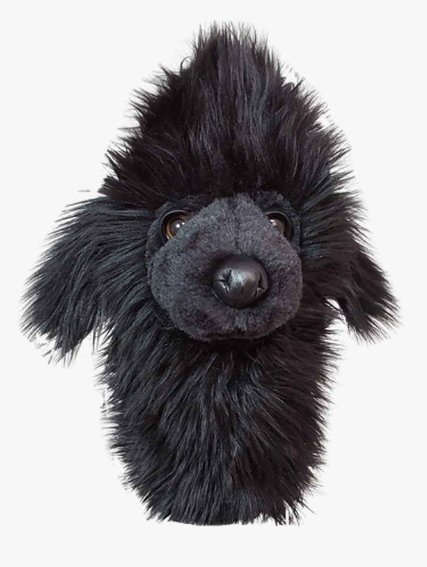 Daphne S Headcovers - Schwarzer Pudel, HD Png Download