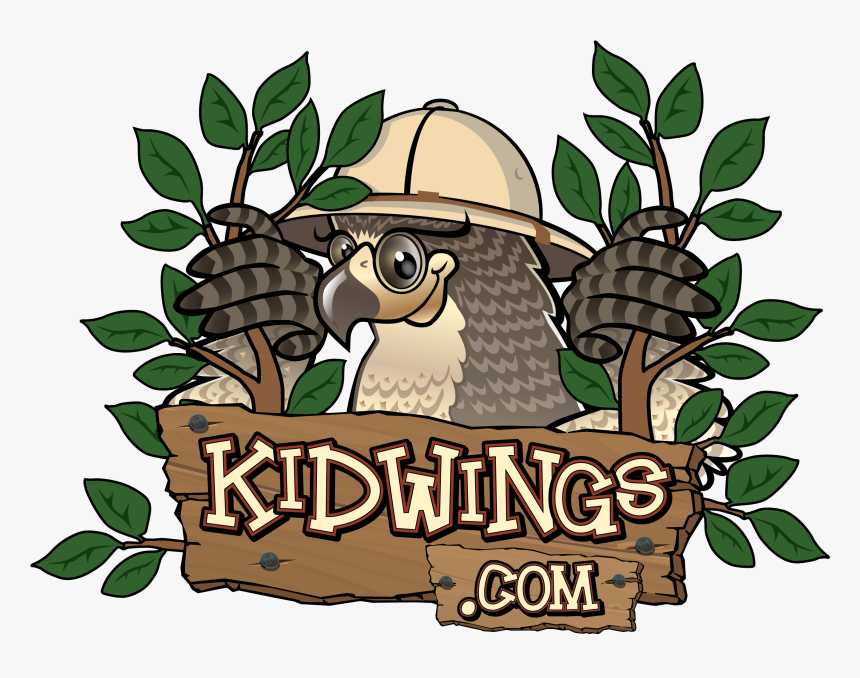 Kidwings, HD Png Download
