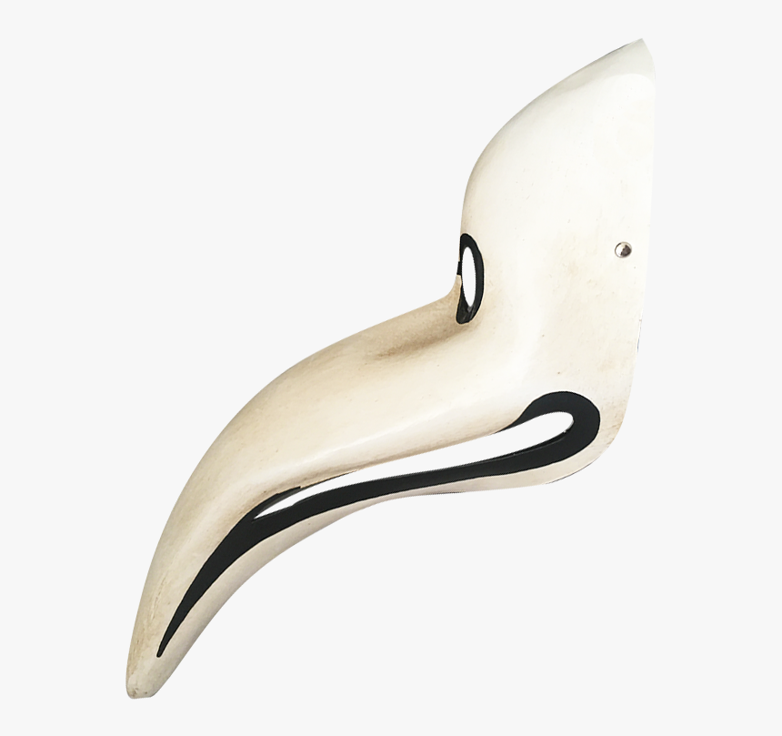 Still Life Photography, HD Png Download