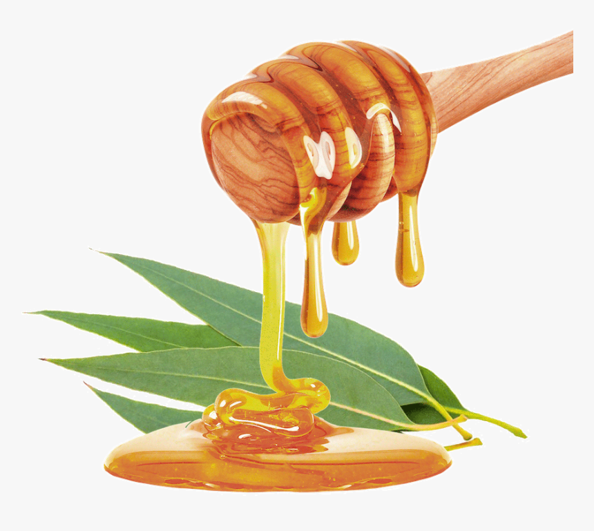 Honey Png, Transparent Png