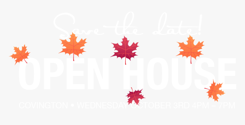 Vasanthi, HD Png Download