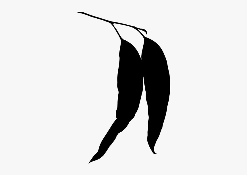 Transparent Two Eucalyptus Leaves Png Image - Eucalyptus Leaf Silhouette, Png Download