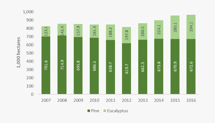 Forest Industry Of Brazil, HD Png Download