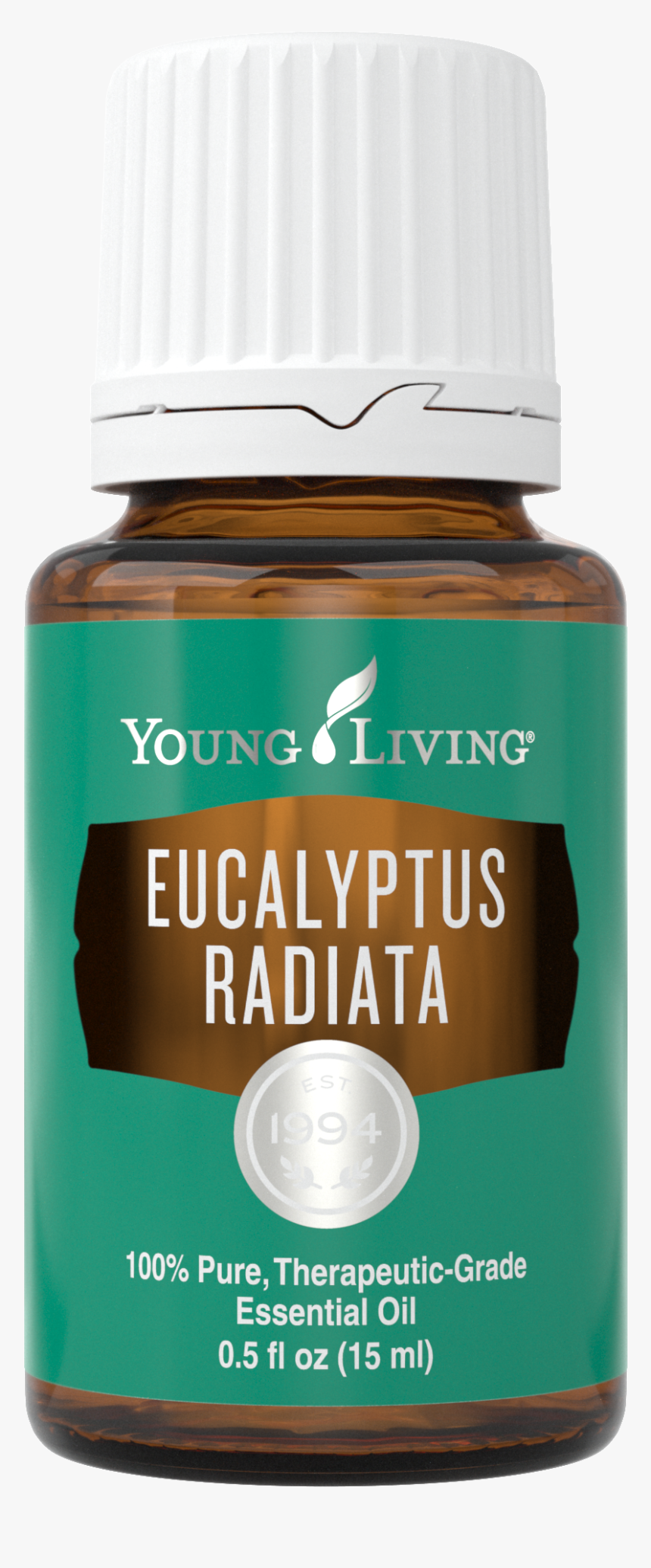Eucalyptus Png, Transparent Png