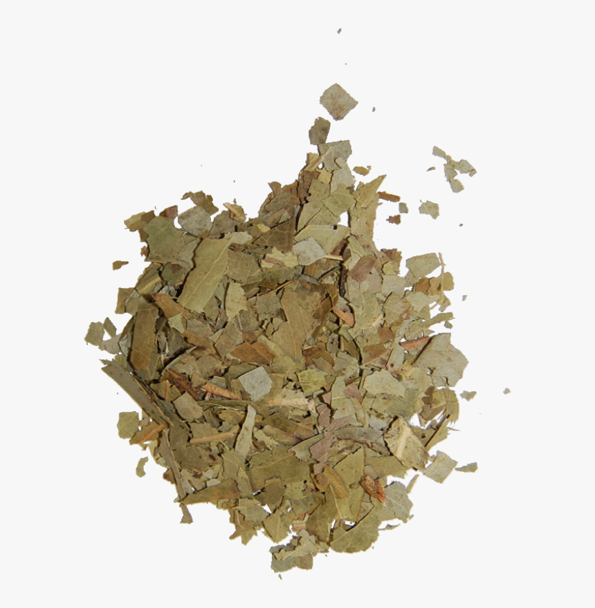 Transparent Eucalyptus Leaves Png - Wood, Png Download