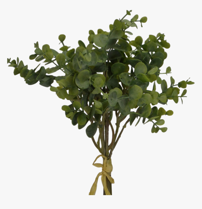 Trees Png Hd, Transparent Png