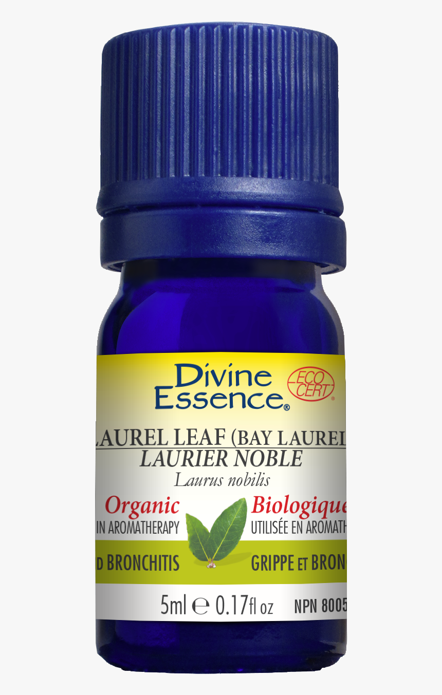 Camomille Bleue Huile Essentielle, HD Png Download