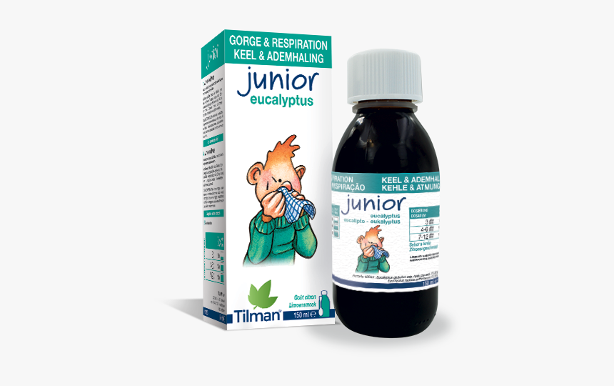 Eucalyptus Png, Transparent Png