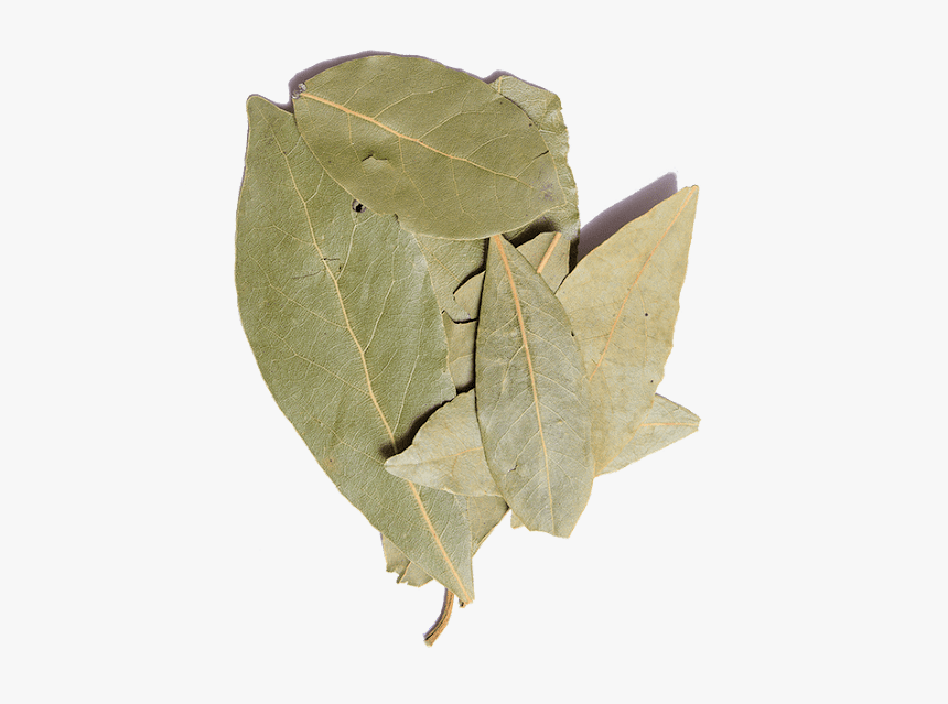 Beige, HD Png Download