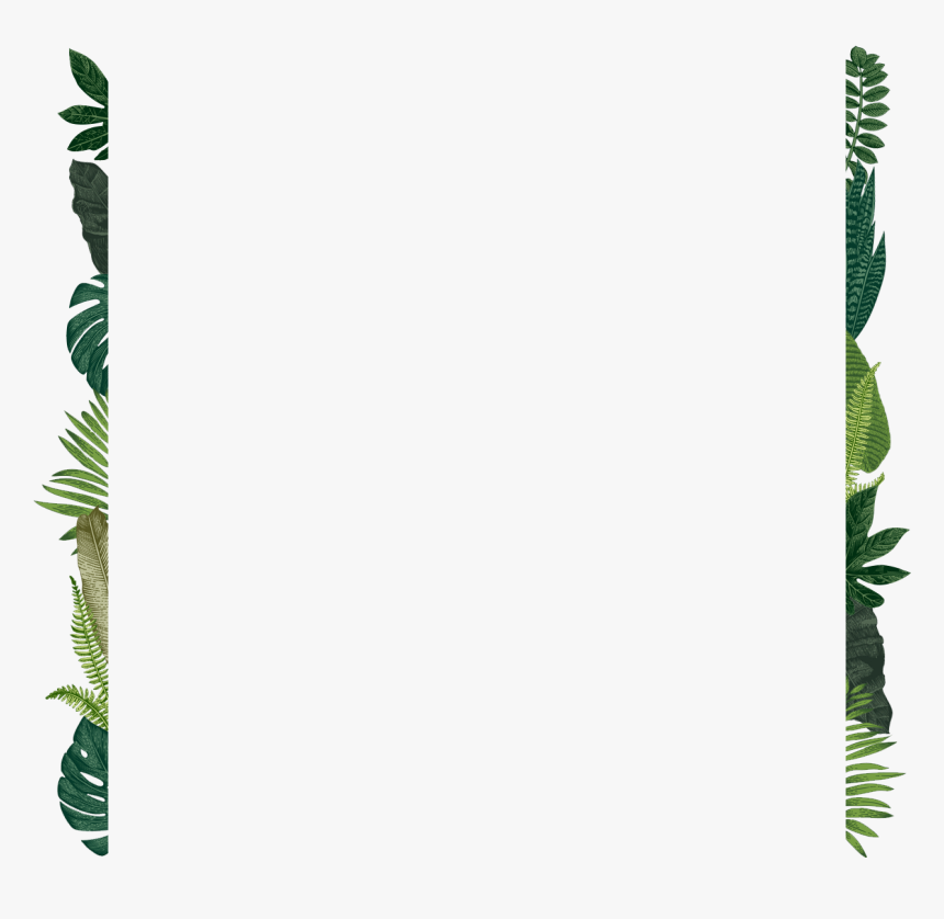 Fern, HD Png Download