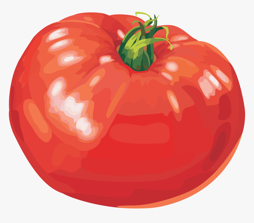 Transparent Tomato Slice Png - Vegetables Clip Art, Png Download