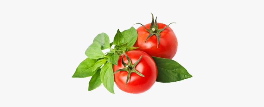 Veggies Small Farm Picked - Lupara Buffalo Mozzarella, HD Png Download