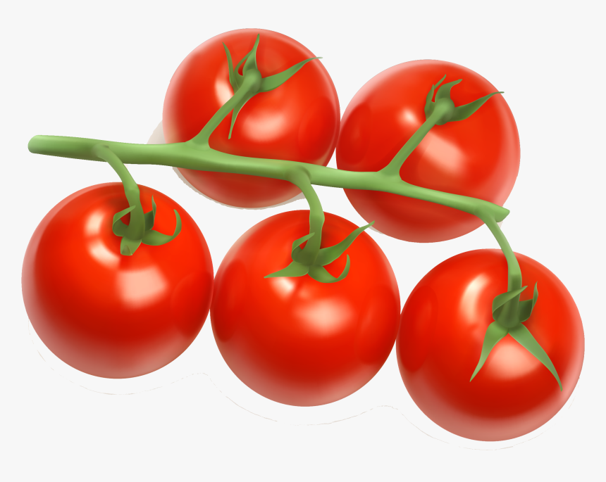 Tomato Juice Cherry Tomato Clip Art - Cherry Tomato Clipart, HD Png Download