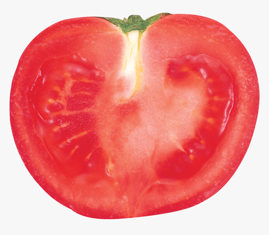 transparent free tomato clipart tomato slice transparent background hd png download transparent png image pngitem tomato slice transparent background hd