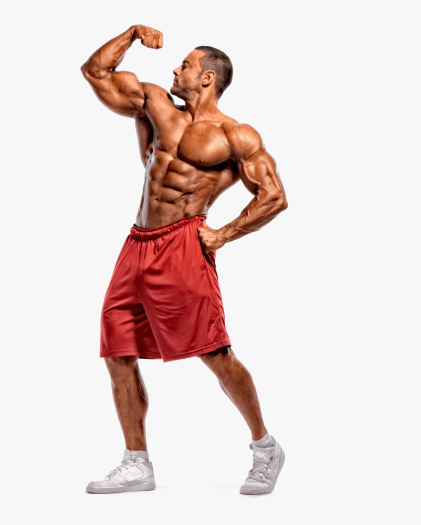 Bodybuilding Transparent - Body Builder Stock, HD Png Download