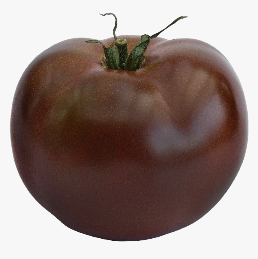 Tomato Black Tomato Variety Zebrino Free Picture - มะเขือเทศ สี ดำ, HD Png Download