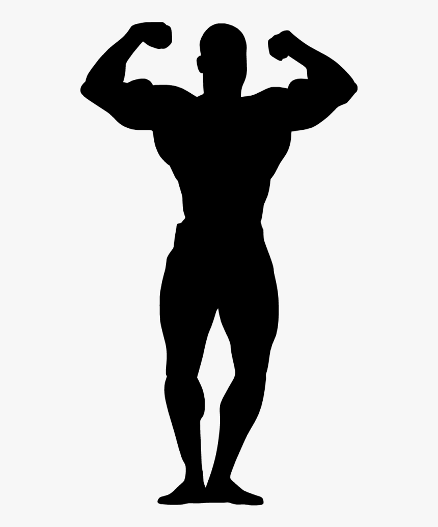 Female Bodybuilding Art Clip Art - Bodybuilding Silhouette Clip Art, HD Png Download