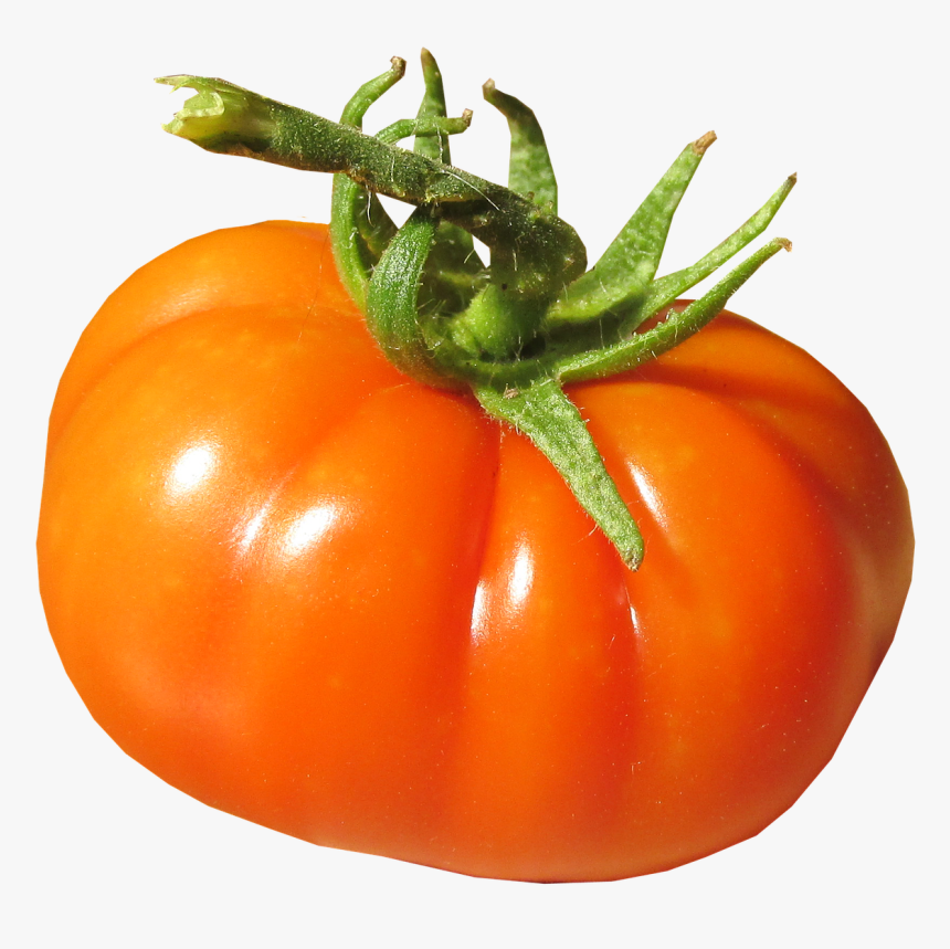 Tomato Organic Fresh Free Picture - Plum Tomato, HD Png Download