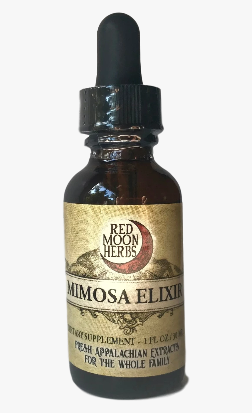 Poke Root Phytolacca Americana, HD Png Download