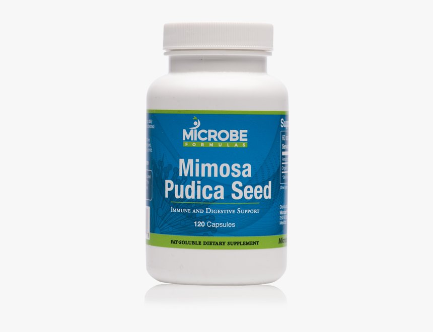 Mimosa Pudica Seed - Health, HD Png Download