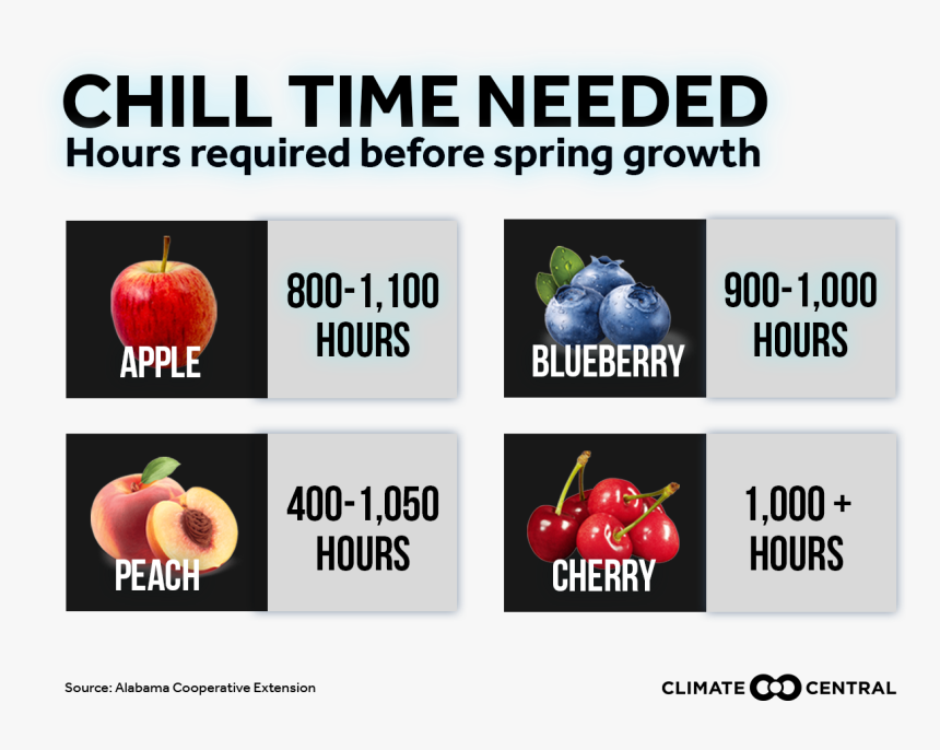 Natural Foods, HD Png Download