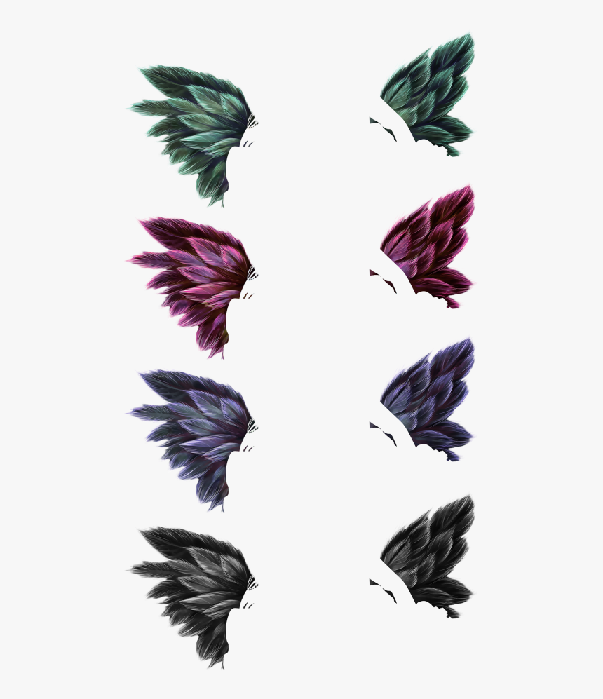 Portable Network Graphics , Png Download - Pigeons And Doves, Transparent Png