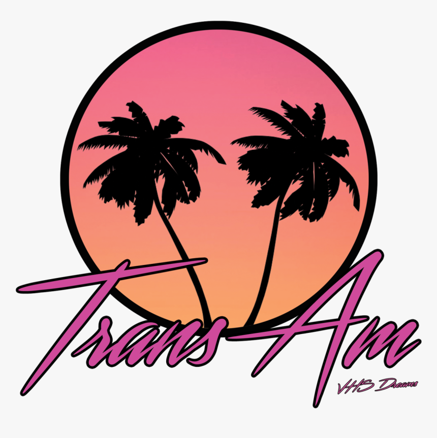 Palm Tree Vector Png, Transparent Png