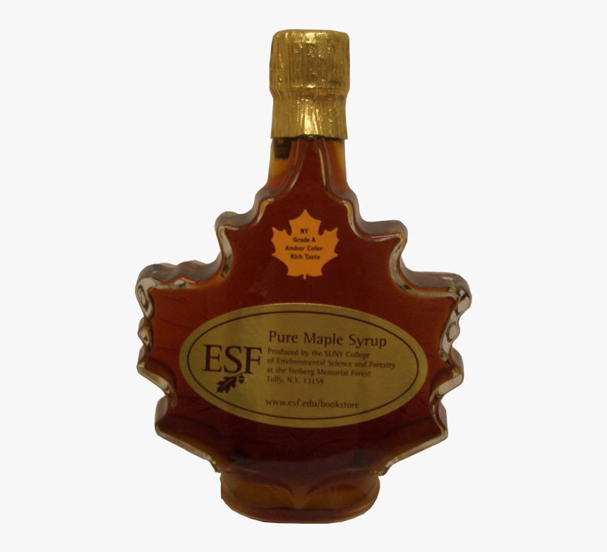 Glass Leaf - State University Of New York College Of Environmental, HD Png Download