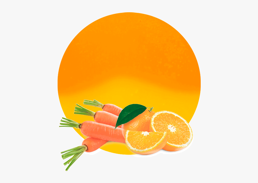 Clementine, HD Png Download