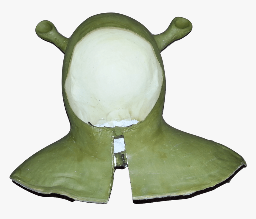 Keep Up With The Latest From Dlo - Tortoise, HD Png Download