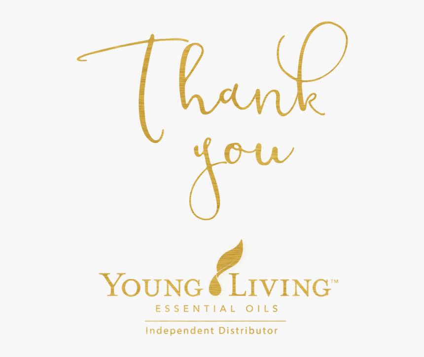 Essential Oil Young Living Narrow-leaved Paperbark - Young Living, HD Png Download