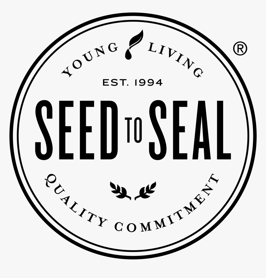 Amsterdam Arena, HD Png Download