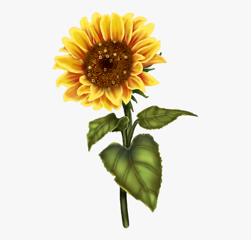Bluebonnet Vector Clipart - Never Ruin A Good Day With A Bad Yesterday, HD Png Download