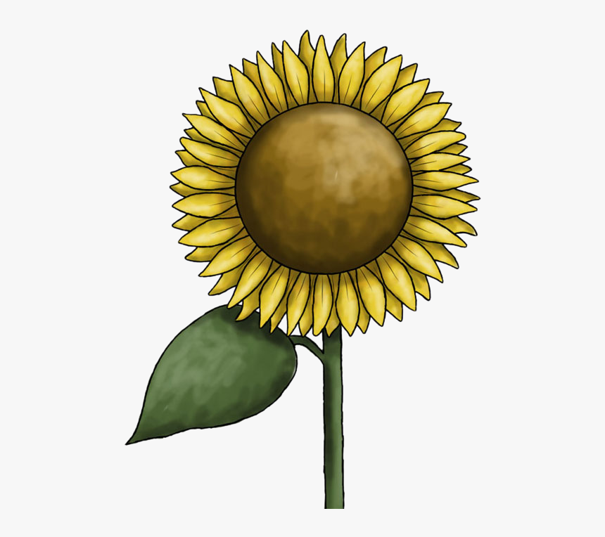 Sunflower Clipart Free Images - Clip Art, HD Png Download