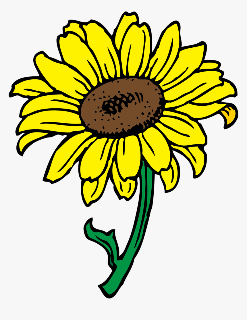 Sunflower - Sunflower Flower Clip Art, HD Png Download