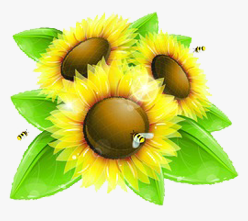 Sunflowers Clipart Bee - Honey Bees And Sunflower Background, HD Png Download