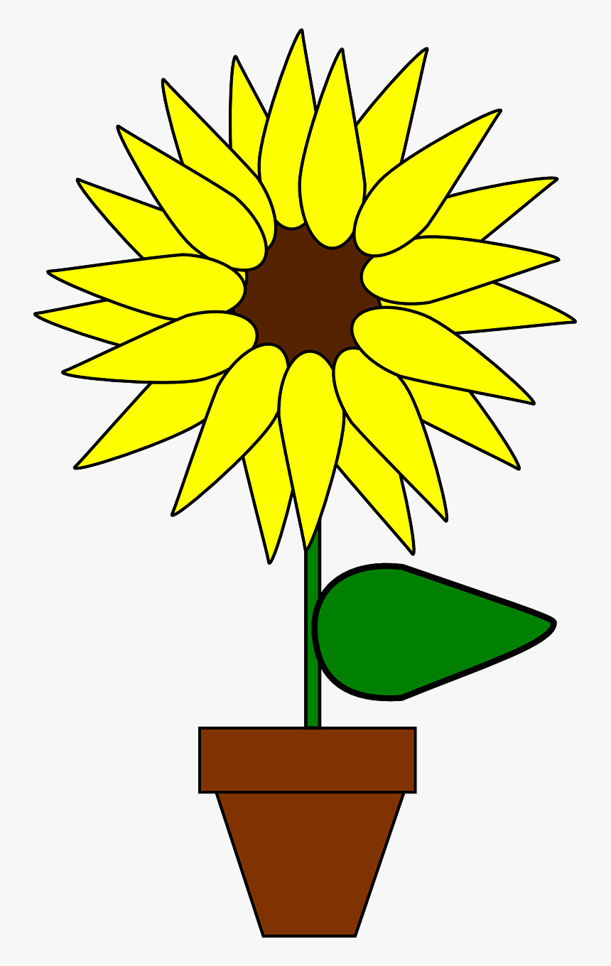 Sunflower Clipart Girasol - Sunflower In Pot Clipart, HD Png Download