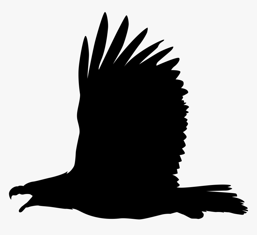Bald Eagle Silhouette Clip Art, HD Png Download